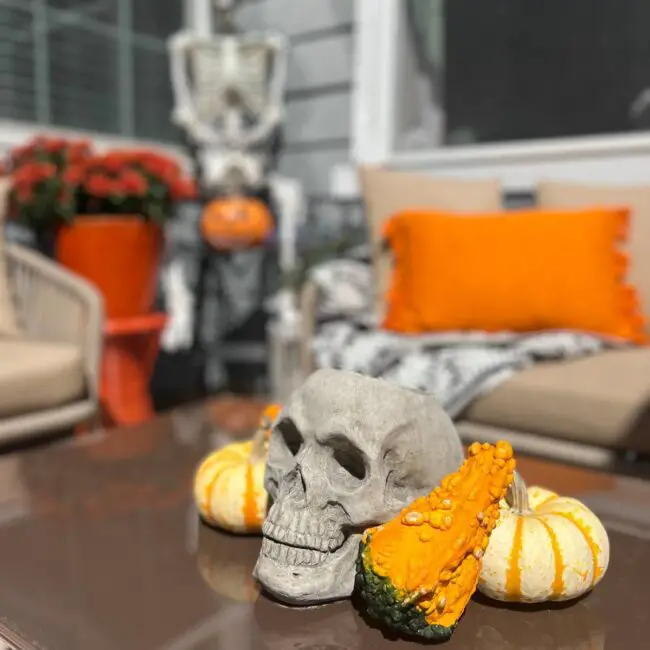 Cozy Skeleton Corner Perfect for Halloween