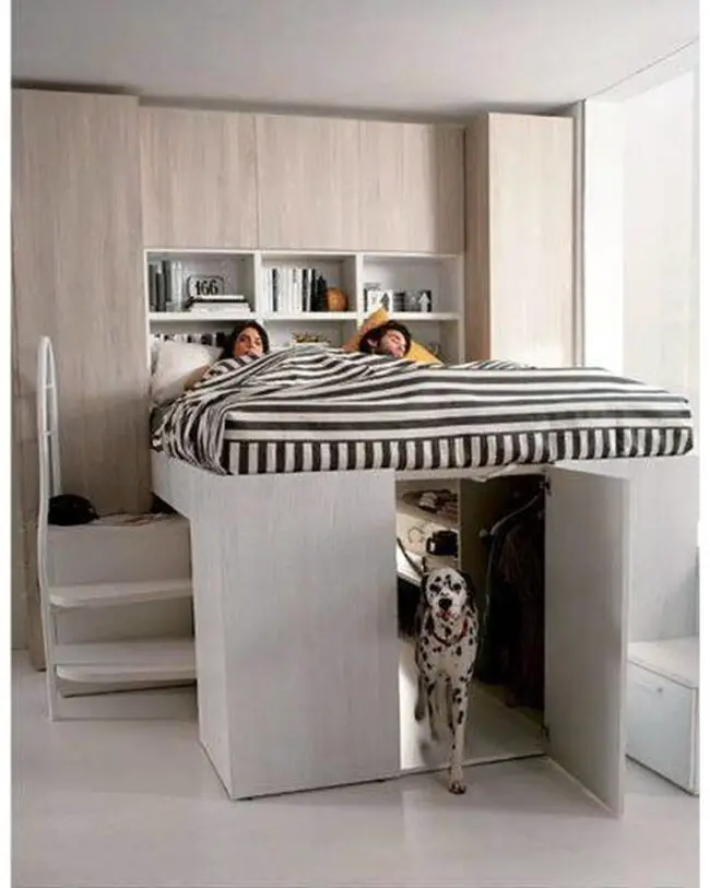 Elevated Bed with Hidden Dog Space