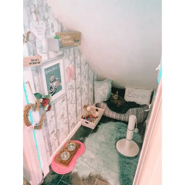 Cat Hideaway Under the Stairs