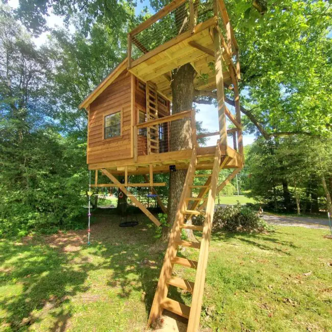 Double-Decker Treehouse for Extra Space