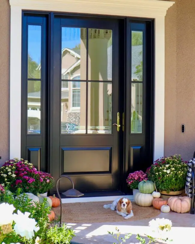 Sophisticated Black Front Door with Glass Panels