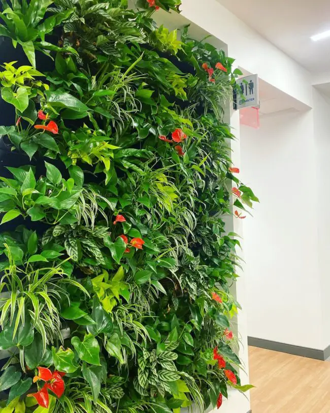 Bright and Colorful Hallway Decor