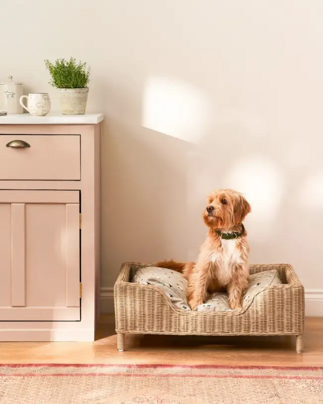 Wicker Bed for Small Dogs