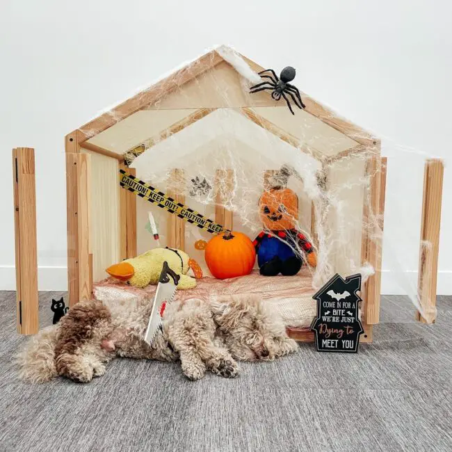 Halloween-Themed Dog House Decor