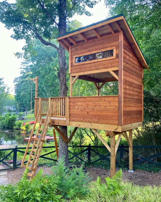 Elevated Treehouse for Scenic Viewing