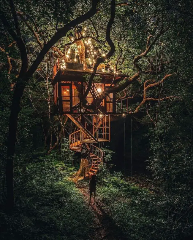 Spiraling Staircase in an Enchanted Treehouse