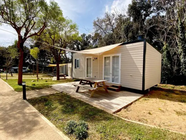 Minimalist Outdoor Area with Picnic Spot