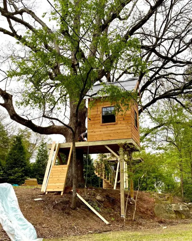 Treehouse Under Construction with Modern Elements