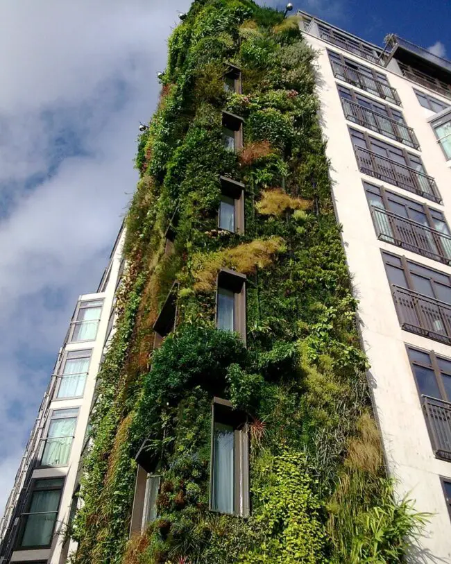 Towering Green Exterior Facade