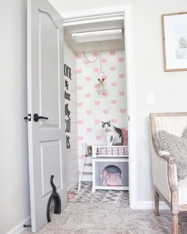 Cat-Friendly Corner in a Closet