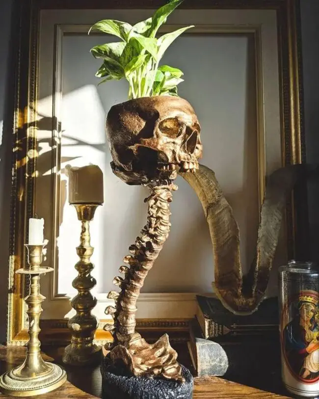 Skull and Spine Plant Stand for the Desk