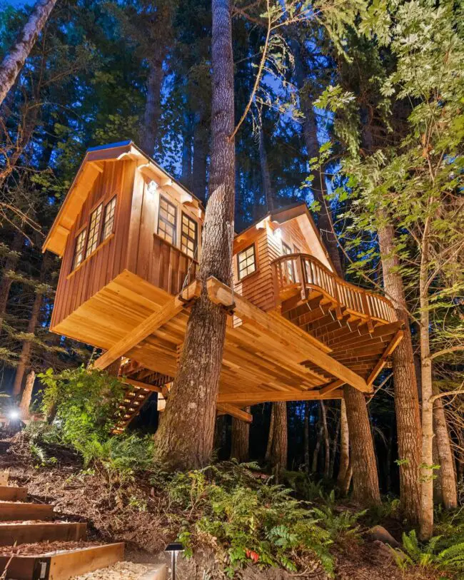 Dual Treehouse Retreat