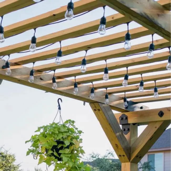 Tranquility Beneath the Pergola