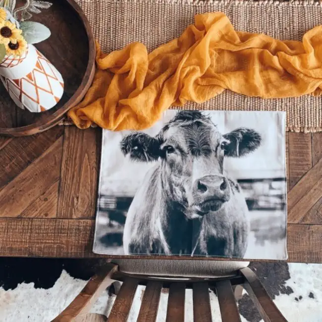 Ranch Chic Dining Table Setting