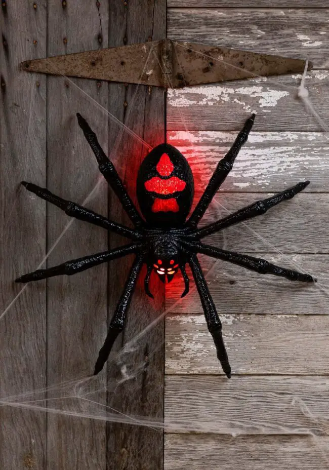 Red-Eyed Glowing Spider Display