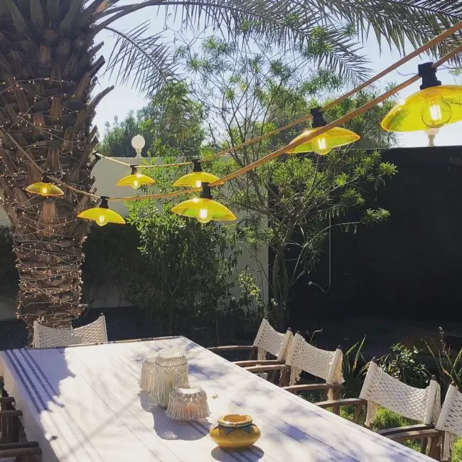 Sunlight Over the Dining Table