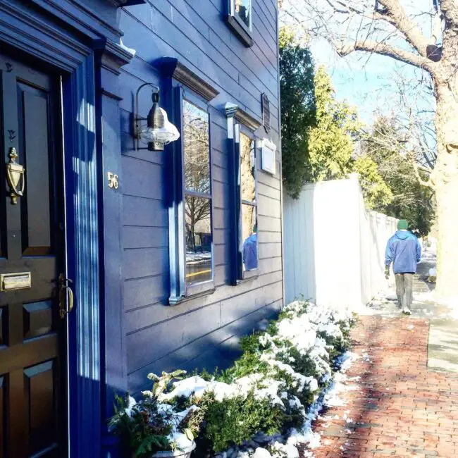 Bold Navy Row House Look