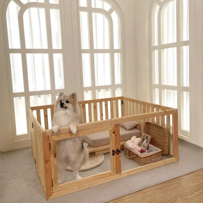 Small Dog Playpen