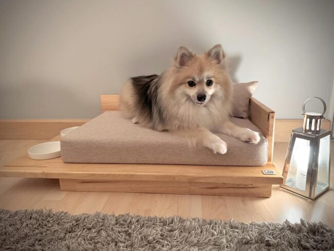 Minimalist Bed for a Pomeranian