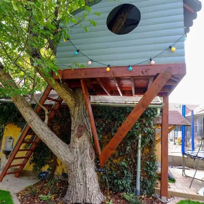 Vibrant and Colorful Treehouse Playhouse