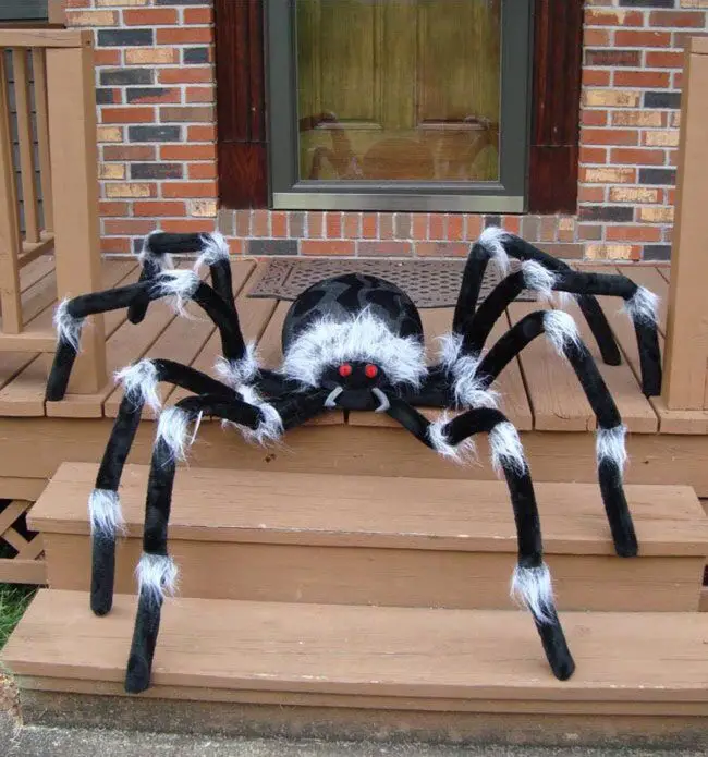 Fluffy Giant Spider on the Porch