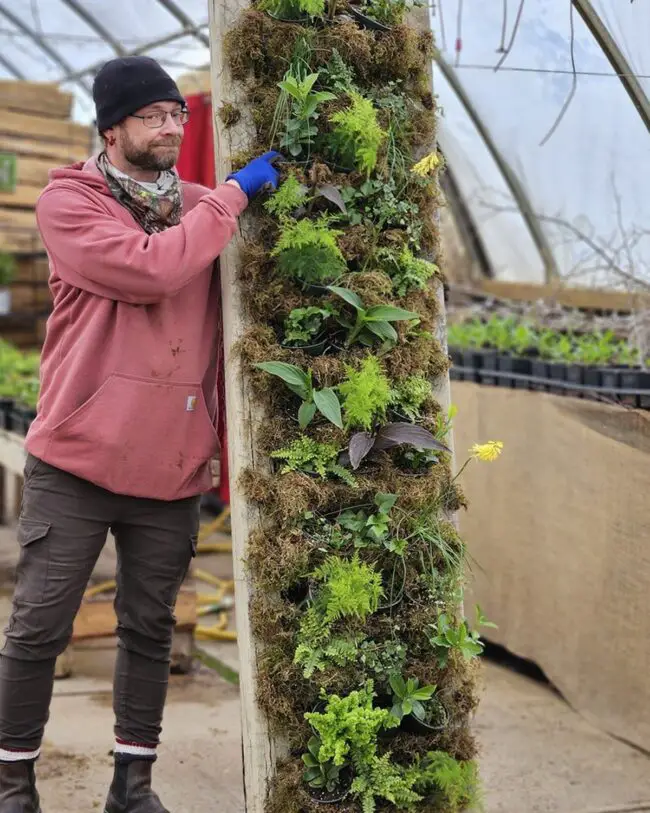 DIY Vertical Garden Setup