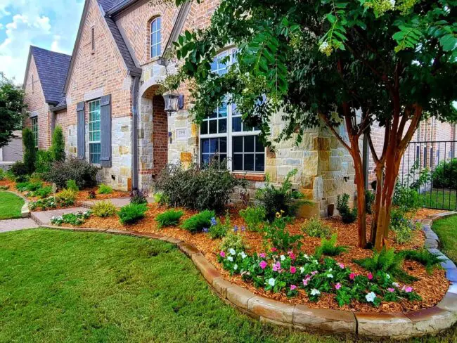 Classic Texas Charm with Colorful Blooms