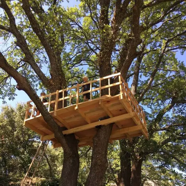 Simple Platform Treehouse for a Minimalist Feel