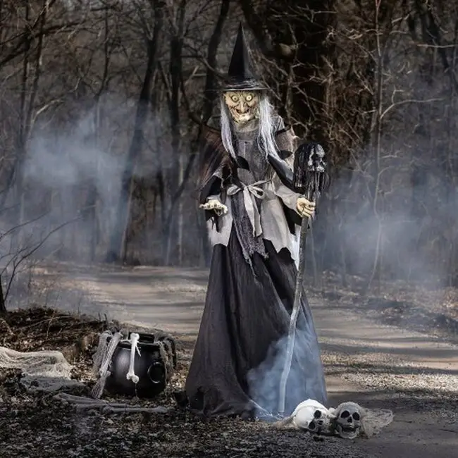 Eerie Witch in the Shadows of the Woods