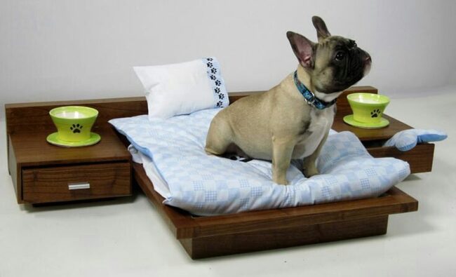 Elegant Bed for a French Bulldog