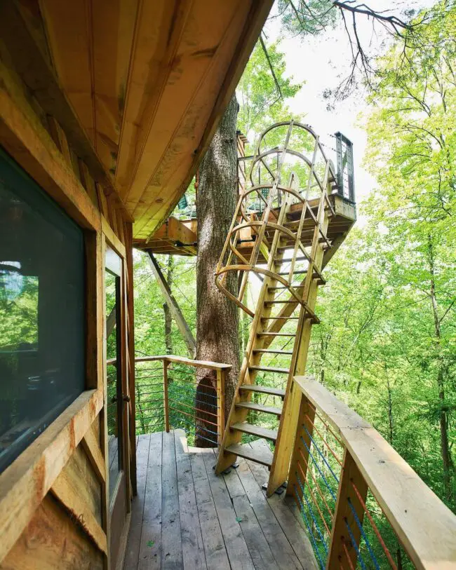 Treehouse with Elegant Spiral Staircase