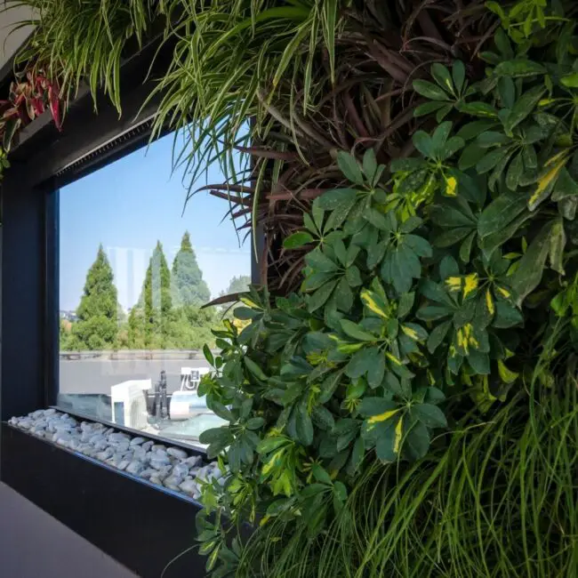 Lush Indoor Green Oasis