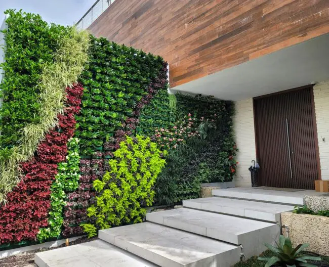 Striking Statement Entryway