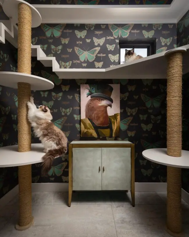 Luxurious Cat Climbing Tower