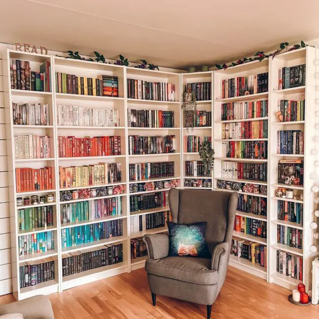 Wall-to-Wall Book Haven