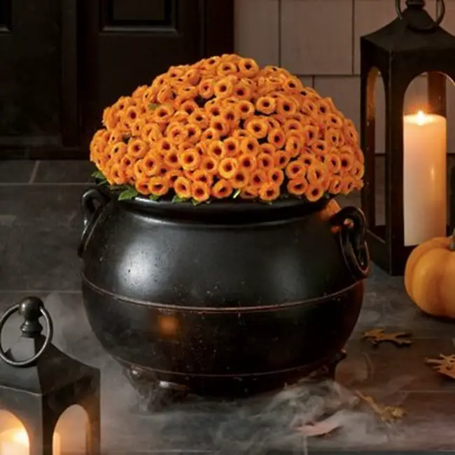 Bewitched Cauldron Adorned with Flowers