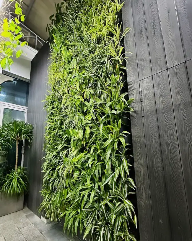 Vertical Green Paradise