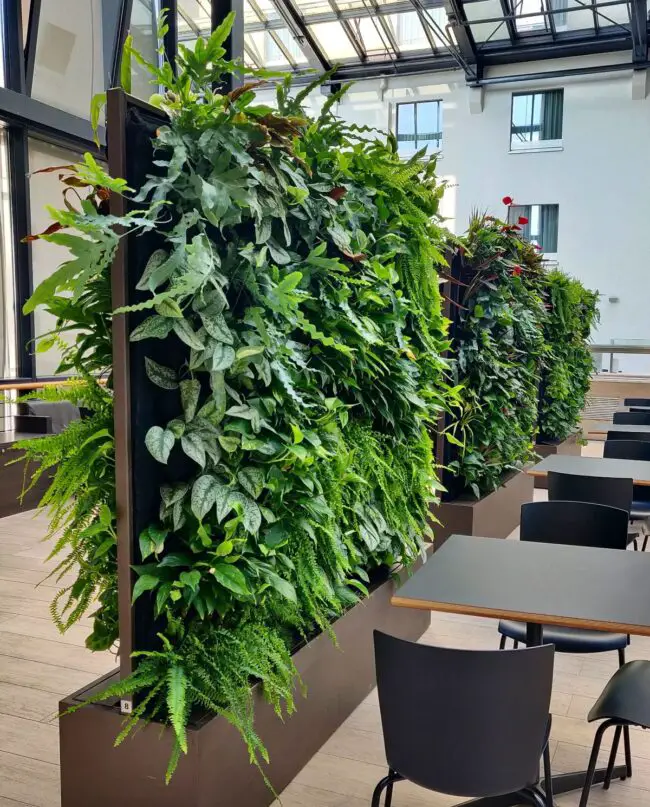 Indoor Green Partition Walls