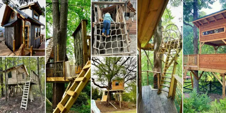 Best Treehouse Ideas for Kids