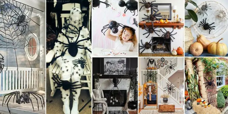 Best Halloween Spider Decor Ideas